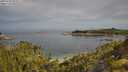 ./images/calvert/foggy-cove/20250709/foggy-cove20250709_092011M.jpg