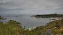 ./images/calvert/foggy-cove/20250709/foggy-cove20250709_092510M.jpg