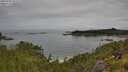 ./images/calvert/foggy-cove/20250709/foggy-cove20250709_093510M.jpg