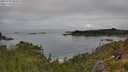 ./images/calvert/foggy-cove/20250709/foggy-cove20250709_094509M.jpg