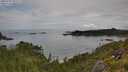 ./images/calvert/foggy-cove/20250709/foggy-cove20250709_095509M.jpg