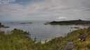 ./images/calvert/foggy-cove/20250709/foggy-cove20250709_100011M.jpg
