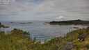 ./images/calvert/foggy-cove/20250709/foggy-cove20250709_100506M.jpg
