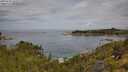./images/calvert/foggy-cove/20250709/foggy-cove20250709_101010M.jpg