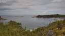 ./images/calvert/foggy-cove/20250709/foggy-cove20250709_101510M.jpg