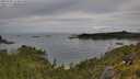 ./images/calvert/foggy-cove/20250709/foggy-cove20250709_103010M.jpg