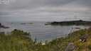 ./images/calvert/foggy-cove/20250709/foggy-cove20250709_103509M.jpg