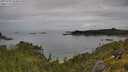 ./images/calvert/foggy-cove/20250709/foggy-cove20250709_104010M.jpg