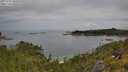 ./images/calvert/foggy-cove/20250709/foggy-cove20250709_105010M.jpg