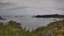 ./images/calvert/foggy-cove/20250709/foggy-cove20250709_110011M.jpg