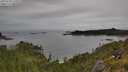 ./images/calvert/foggy-cove/20250709/foggy-cove20250709_110508M.jpg