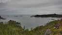 ./images/calvert/foggy-cove/20250709/foggy-cove20250709_111009M.jpg