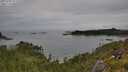 ./images/calvert/foggy-cove/20250709/foggy-cove20250709_111510M.jpg