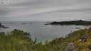 ./images/calvert/foggy-cove/20250709/foggy-cove20250709_113510M.jpg