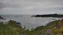 ./images/calvert/foggy-cove/20250709/foggy-cove20250709_115508M.jpg