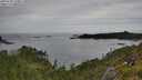 ./images/calvert/foggy-cove/20250709/foggy-cove20250709_120011M.jpg