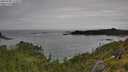 ./images/calvert/foggy-cove/20250709/foggy-cove20250709_122009M.jpg