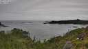 ./images/calvert/foggy-cove/20250709/foggy-cove20250709_122510M.jpg