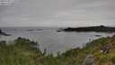 ./images/calvert/foggy-cove/20250709/foggy-cove20250709_123010M.jpg