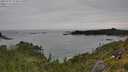 ./images/calvert/foggy-cove/20250709/foggy-cove20250709_124010M.jpg