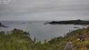 ./images/calvert/foggy-cove/20250709/foggy-cove20250709_133010M.jpg
