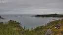 ./images/calvert/foggy-cove/20250709/foggy-cove20250709_135010M.jpg