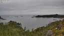 ./images/calvert/foggy-cove/20250709/foggy-cove20250709_140510M.jpg