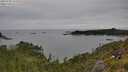 ./images/calvert/foggy-cove/20250709/foggy-cove20250709_141010M.jpg