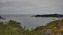 ./images/calvert/foggy-cove/20250709/foggy-cove20250709_143510M.jpg