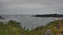 ./images/calvert/foggy-cove/20250709/foggy-cove20250709_144006M.jpg