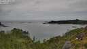 ./images/calvert/foggy-cove/20250709/foggy-cove20250709_145007M.jpg