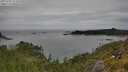 ./images/calvert/foggy-cove/20250709/foggy-cove20250709_152510M.jpg