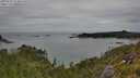 ./images/calvert/foggy-cove/20250709/foggy-cove20250709_154010M.jpg