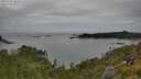 ./images/calvert/foggy-cove/20250709/foggy-cove20250709_154509M.jpg
