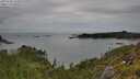./images/calvert/foggy-cove/20250709/foggy-cove20250709_155010M.jpg