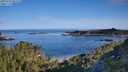 ./images/calvert/foggy-cove/20250710/foggy-cove20250710_082508M.jpg
