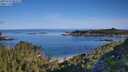 ./images/calvert/foggy-cove/20250710/foggy-cove20250710_083508M.jpg