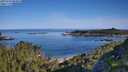 ./images/calvert/foggy-cove/20250710/foggy-cove20250710_084010M.jpg
