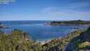 ./images/calvert/foggy-cove/20250710/foggy-cove20250710_092010M.jpg