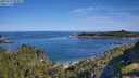 ./images/calvert/foggy-cove/20250710/foggy-cove20250710_093012M.jpg