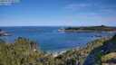 ./images/calvert/foggy-cove/20250710/foggy-cove20250710_093509M.jpg