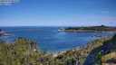 ./images/calvert/foggy-cove/20250710/foggy-cove20250710_094510M.jpg