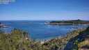./images/calvert/foggy-cove/20250710/foggy-cove20250710_095011M.jpg