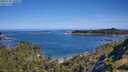 ./images/calvert/foggy-cove/20250710/foggy-cove20250710_100011M.jpg