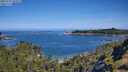 ./images/calvert/foggy-cove/20250710/foggy-cove20250710_101009M.jpg