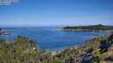 ./images/calvert/foggy-cove/20250710/foggy-cove20250710_101508M.jpg