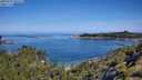 ./images/calvert/foggy-cove/20250710/foggy-cove20250710_102509M.jpg