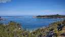 ./images/calvert/foggy-cove/20250710/foggy-cove20250710_103010M.jpg