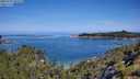 ./images/calvert/foggy-cove/20250710/foggy-cove20250710_103510M.jpg