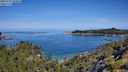 ./images/calvert/foggy-cove/20250710/foggy-cove20250710_104010M.jpg